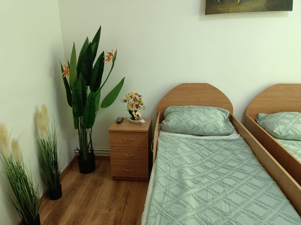 Casa Nestor